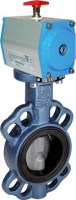 ATLANTIS DN50 klapkový ventil s pneumatickým pohonem DA GG25 304 EPDM DA1AA60900