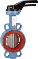 Uzavírací klapka DN50 STD GG25 / CF8M / Silkon 1157050